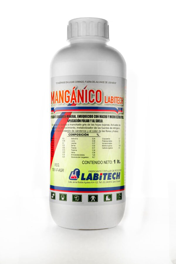 Mangánico Labitech